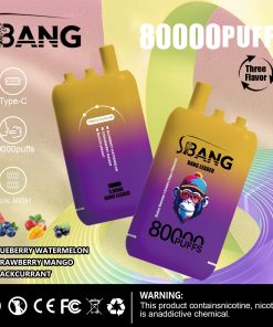 Bang Leader 80000 80K Puffs 3 in 1 Flavors Rechargeable Disposable Vape in Blueberry Watermelon + Strawberry Mango + Blackcurrant flavor