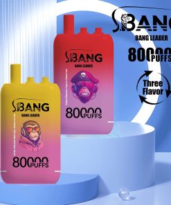 Bang Leader 80000 80K Puffs 3 in 1 Flavors Rechargeable Disposable Vape product image