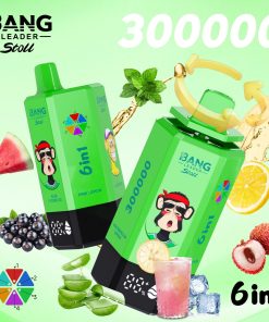 Bang Leader 300K 300000 Puffs 6-in-1 Flavors Rechargeable LED Display Disposable Vape in bang leader 300k 300000 aloe lychee ice pink lemon glacier ice
