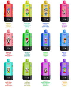 Bang Leader 300K 300000 Puffs 6-in-1 Flavors Rechargeable LED Display Disposable Vape flavor options image