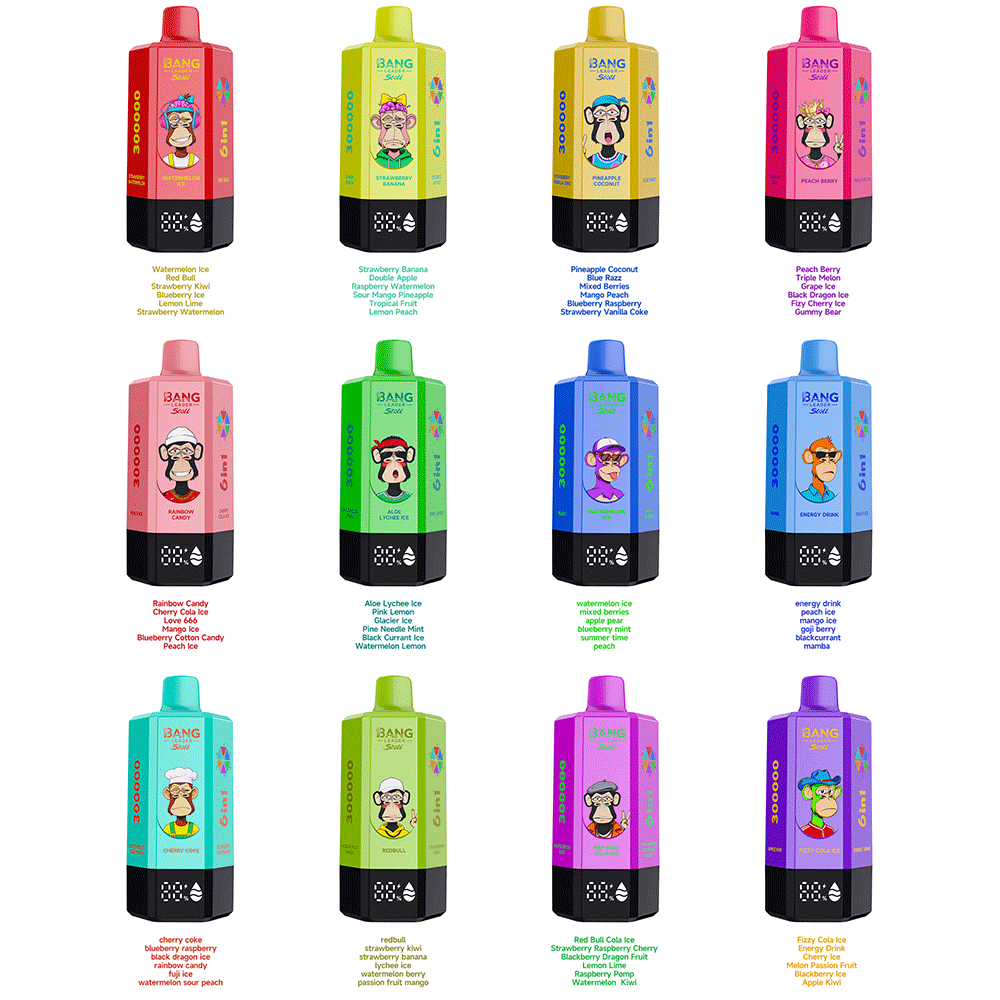 Bang Leader 300K 300000 Puffs 6-in-1 Flavors Rechargeable LED Display Disposable Vape flavor options image