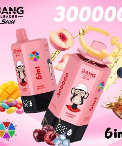 Bang Leader 300K 300000 Puffs 6-in-1 Flavors Rechargeable LED Display Disposable Vape in Energy Drink & Peach Ice & Mango Ice & Goji Berry & Blackcurrant