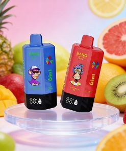 Bang Leader 300K 300000 Puffs 6-in-1 Flavors Rechargeable LED Display Disposable Vape product image