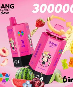 Bang Leader 300K 300000 Puffs 6-in-1 Flavors Rechargeable LED Display Disposable Vape product detail image
