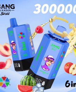 Bang Leader 300K 300000 Puffs 6-in-1 Flavors Rechargeable LED Display Disposable Vape product detail image