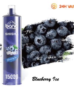 Bang SHISHA 15000 boccate - Sigaretta elettronica usa e getta con aspirazione diretta ai polmoni - Nuova penna vaporizzatore al gusto Blueberry Ice