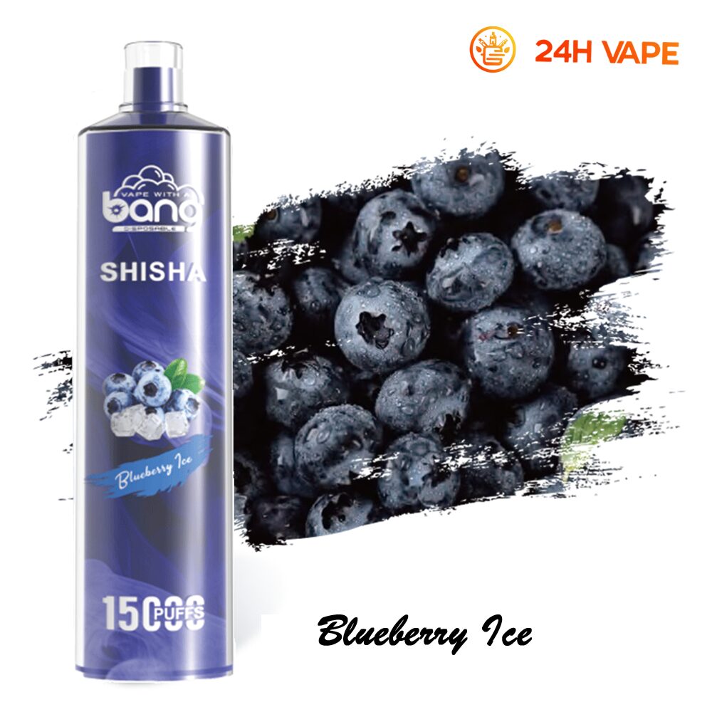 Bang SHISHA 15000 boccate - Sigaretta elettronica usa e getta con aspirazione diretta ai polmoni - Nuova penna vaporizzatore al gusto Blueberry Ice