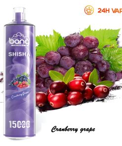 Bang SHISHA 15.000 boccate - Sigaretta elettronica usa e getta con aspirazione diretta ai polmoni - Nuova penna vaporizzatore al gusto mirtillo rosso e uva
