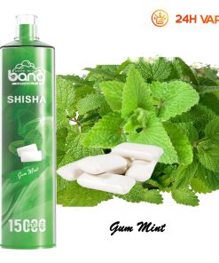 Bang SHISHA 15.000 boccate - Sigaretta elettronica usa e getta con aspirazione diretta ai polmoni - Nuova penna vaporizzatore al gusto gomma da masticare e menta