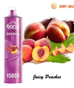 Bang SHISHA 15000 boccate - Sigaretta elettronica usa e getta con aspirazione diretta ai polmoni - Nuova penna vaporizzatore al gusto di pesche succose