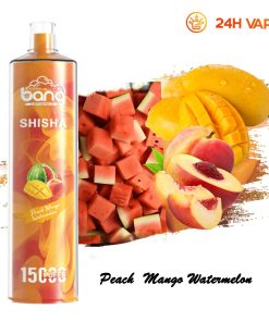 Bang SHISHA 15.000 boccate - Sigaretta elettronica usa e getta con aspirazione diretta ai polmoni - Nuova penna vaporizzatore al gusto pesca, mango e anguria