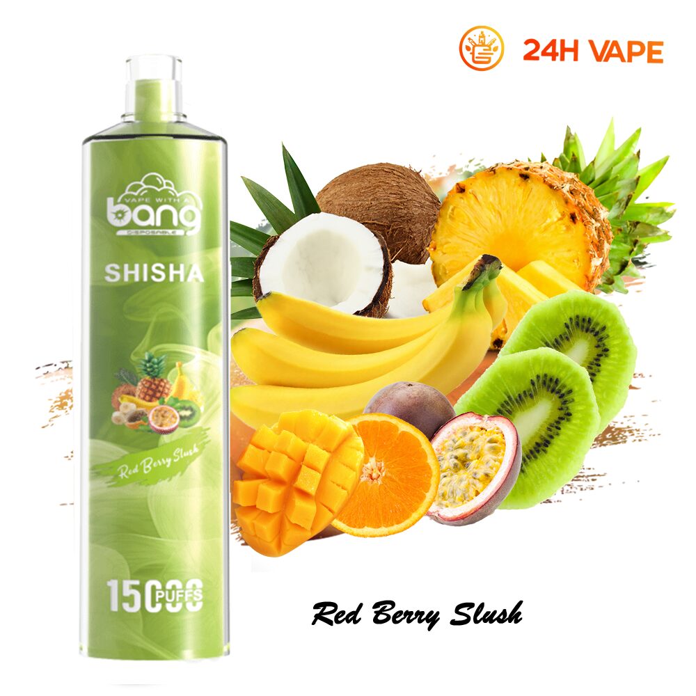 Bang SHISHA 15000 boccate - Sigaretta elettronica usa e getta con aspirazione diretta ai polmoni - Nuova penna vaporizzatore al gusto Red Berry Slush