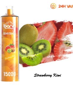 Bang SHISHA 15.000 boccate – Sigaretta elettronica usa e getta con aspirazione diretta ai polmoni – Nuova penna vaporizzatore al gusto fragola e kiwi