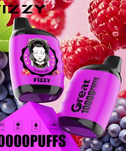 Fizzy Great 10000 10K Puffs 2% 5% Nicotine Edition Disposable Vape in Raspberry Grape flavor