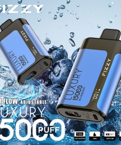 Fizzy Luxury 15000 15K Puffs Edition LCD Display Disposable Vape in 1. Blueberry Raspberry flavor