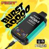 Fizzy Nova Plus 40000 40K Puffs Edition Dual Mesh LCD Display Disposable Vape EU Warehouse product image