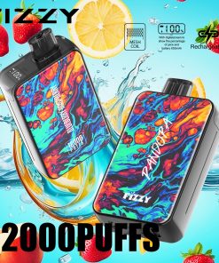 Fizzy Pandora 12000 12K Puffs 2% 5% Nicotine Edition LCD Display Disposable Vape in Blueberry Raspberry flavor