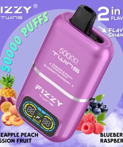 Fizzy Twins 50000 50k Puffs 2% 5% Nicotine Double Taste LCD Display Disposable Vape EU Warehouse in Pineapple Peach Passion Fruit & Blueberry Raspberry