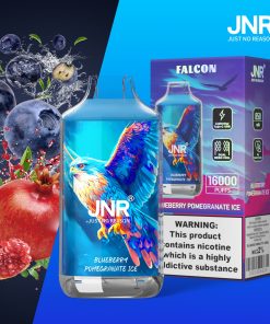JNR FALON 16000 16K Puffs Edition Disposable Vape in Blueberry Pomegranate Ice flavor
