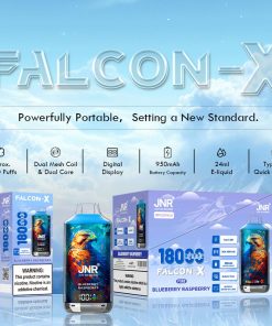 JNR FALCON X 18000 Einweg-E-Zigarette mit 18.000 Zügen und LED-Anzeige im Blaubeer-Himbeer-Geschmack