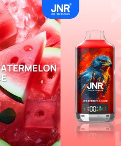 JNR FALCON X 18000 18k Puffs Model LED Display Disposable Vape in jnr falon x 18000 jnr falon x 18000 sleek jnr falon x 18000 watermelon flavor