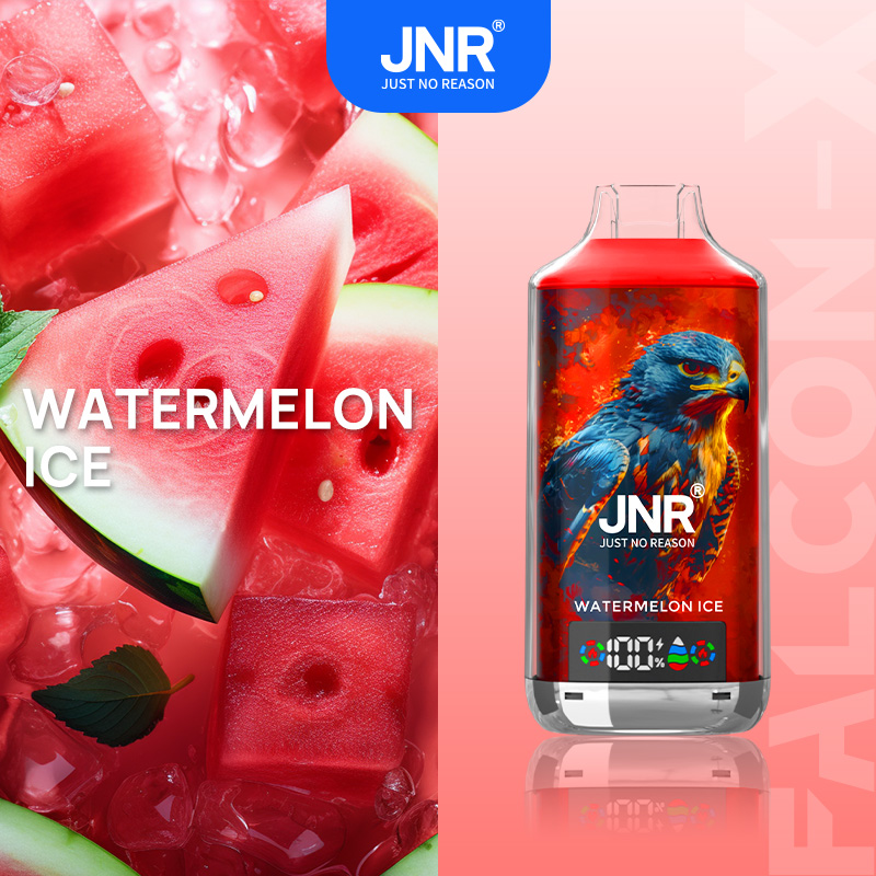 JNR FALCON X 18000 18k Puffs Model LED Display Disposable Vape in jnr falon x 18000 jnr falon x 18000 sleek jnr falon x 18000 watermelon flavor