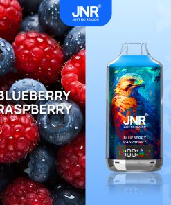 JNR FALCON X 18000 18k Puffs Model LED Display Disposable Vape in jnr falon x 18000 sleek jnr falon x 18000 blueberry raspberry flavor