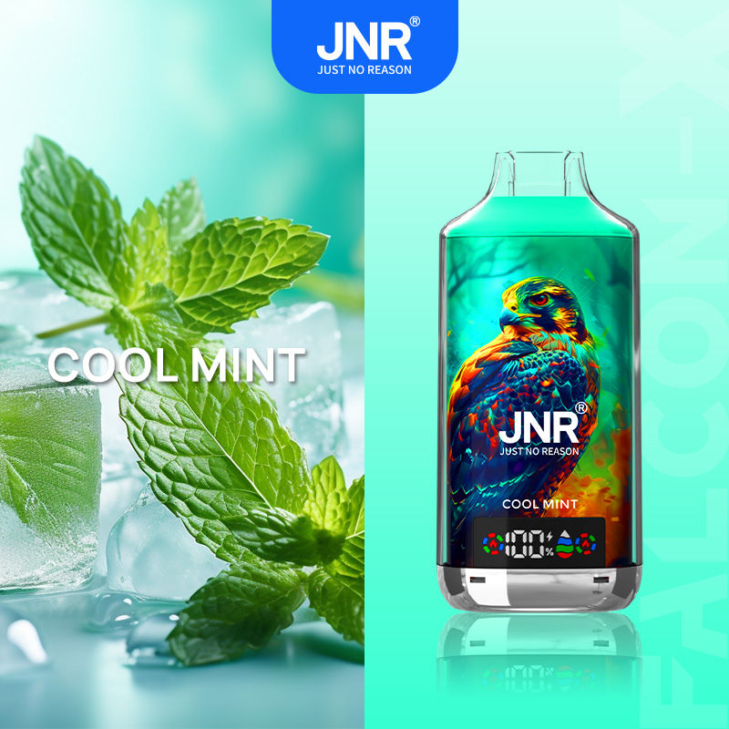 JNR FALCON X 18000 18k Puffs Model LED Display Disposable Vape in jnr falon x 18000 sleek jnr falon x 18000 cool mint flavor
