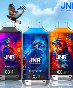 JNR FALCON X 18000 – Einweg-E-Zigarette mit 18.000 Zügen und LED-Anzeige – Produktbild