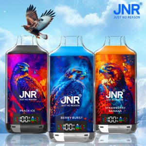 JNR FALCON X 18000 – Einweg-E-Zigarette mit 18.000 Zügen und LED-Anzeige – Produktbild