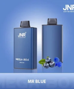 JNR Mega Box 25000 Puffs Edition Rechargeable Disposable Vape in Mr Blue flavor