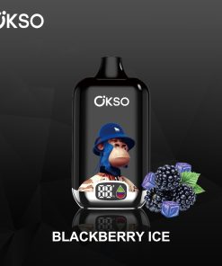 OKSO Digital Box 12000, 12.000 boccate, ricaricabile, display a LED, sigaretta elettronica usa e getta al gusto Blackberry Ice
