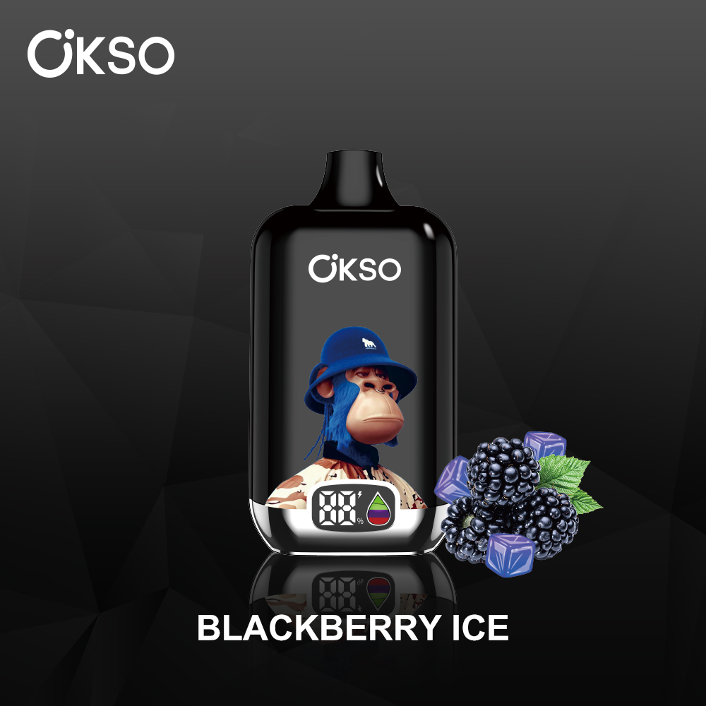 OKSO Digital box 12000 12K Puffs Rechargeable LED Display Disposable Vape in Blackberry Ice flavor