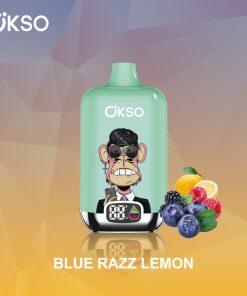 OKSO Digital box 12000 12K Puffs Rechargeable LED Display Disposable Vape in Blue Razz Lemon flavor