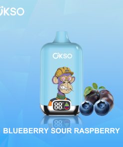 OKSO Digital box 12000 12K Puffs Rechargeable LED Display Disposable Vape in Blueberry Sour Raspberry flavor
