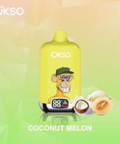 OKSO Digital box 12000 12K Puffs Rechargeable LED Display Disposable Vape in Coconut Melon flavor