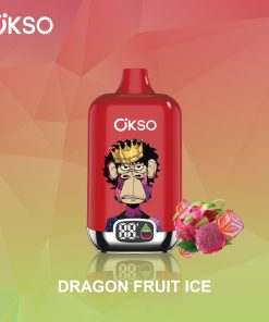 OKSO Digital box 12000 12K Puffs Rechargeable LED Display Disposable Vape in Dragon Fruit Ice flavor