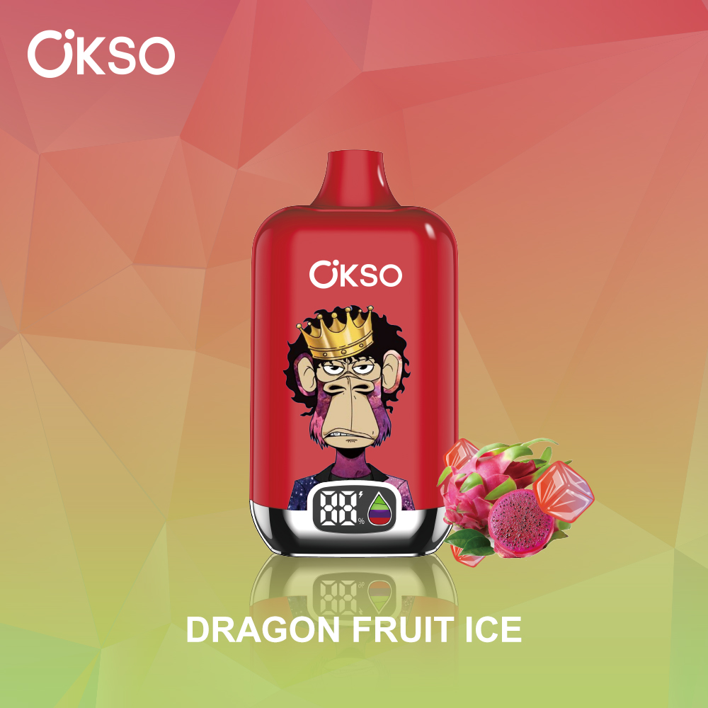 OKSO Digital box 12000 12K Puffs Rechargeable LED Display Disposable Vape in Dragon Fruit Ice flavor