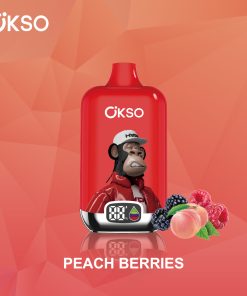 OKSO Digital box 12000 12K Puffs Rechargeable LED Display Disposable Vape in Peach Berries flavor