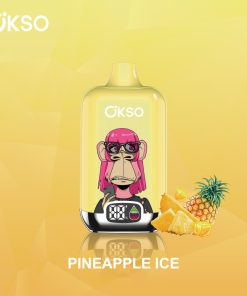 OKSO Digital box 12000 12K Puffs Rechargeable LED Display Disposable Vape in Pineapple Ice flavor