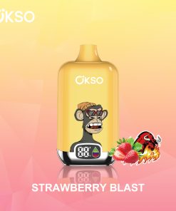 OKSO Digital box 12000 12K Puffs Rechargeable LED Display Disposable Vape in Strawberry Blast flavor
