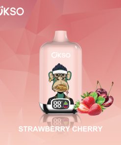 OKSO Digital box 12000 12K Puffs Rechargeable LED Display Disposable Vape in Strawberry Cherry flavor