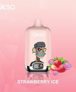 OKSO Digital box 12000 12K Puffs Rechargeable LED Display Disposable Vape in Strawberry Ice flavor