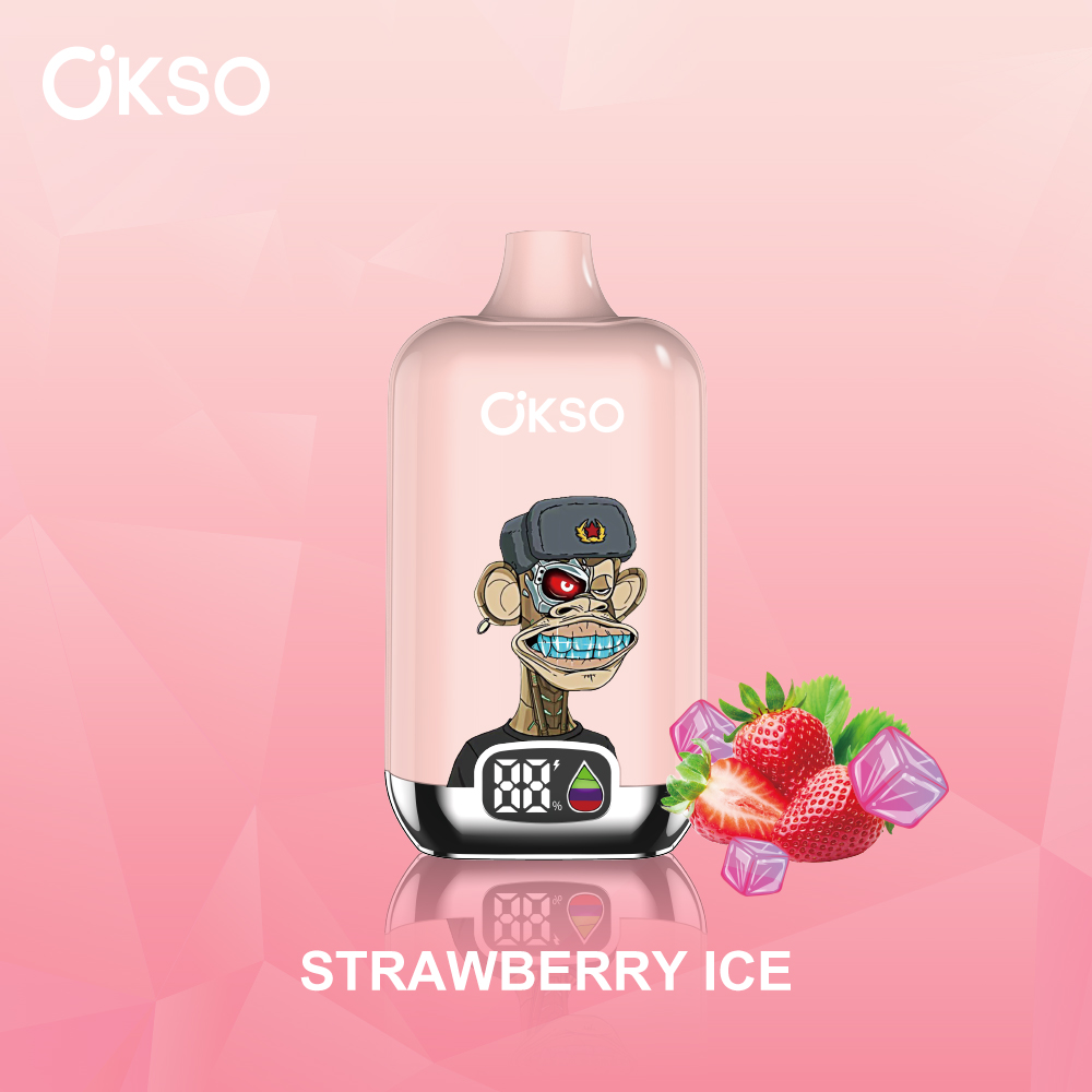 OKSO Digital box 12000 12K Puffs Rechargeable LED Display Disposable Vape in Strawberry Ice flavor