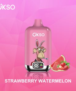 OKSO Digital box 12000 12K Puffs Rechargeable LED Display Disposable Vape in Strawberry Watermelon flavor