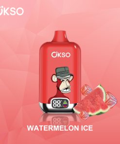 OKSO Digital box 12000 12K Puffs Rechargeable LED Display Disposable Vape in Watermelon Ice flavor