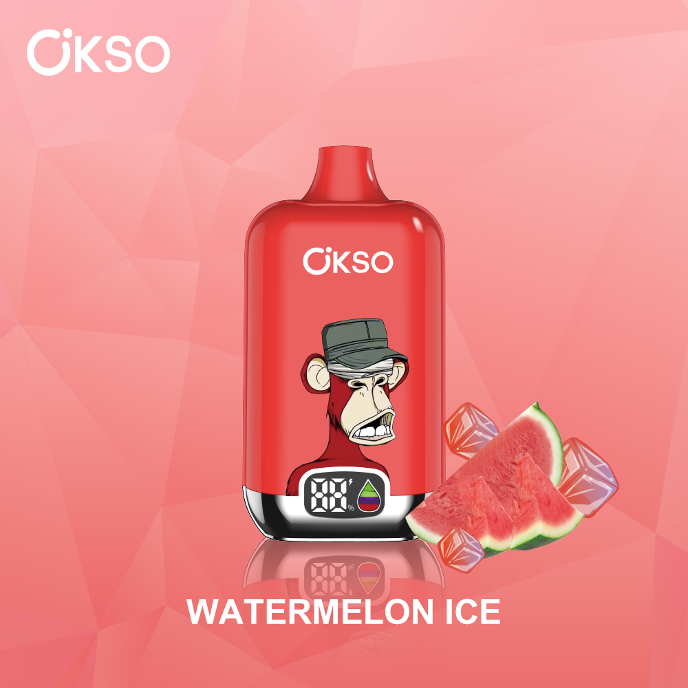 OKSO Digital box 12000 12K Puffs Rechargeable LED Display Disposable Vape in Watermelon Ice flavor