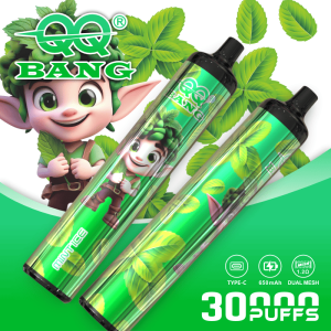 QQ Bang 30.000 (30K) Züge, Einweggerät, Typ C, wiederaufladbar, mit der Geschmacksrichtung „Mint Ice“