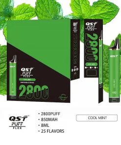 QST 2800 Puffs Disposable random flavor option image