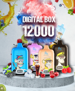 RandM Digital Box – 12.000 Züge – Verkaufsschlager – Einweg-E-Zigarette mit LED-Anzeige